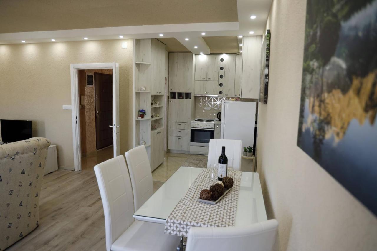 Apartment Alexandar Podgorica Zewnętrze zdjęcie