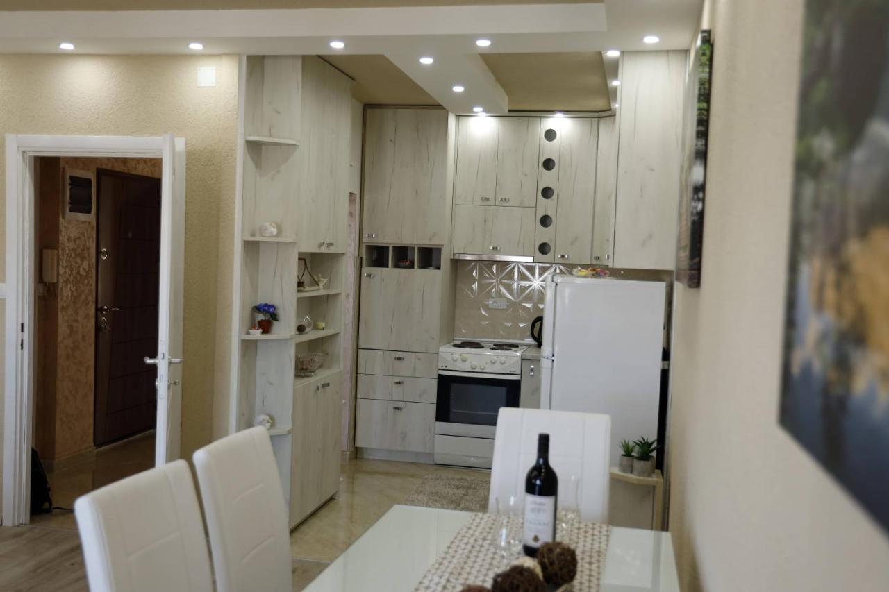 Apartment Alexandar Podgorica Zewnętrze zdjęcie