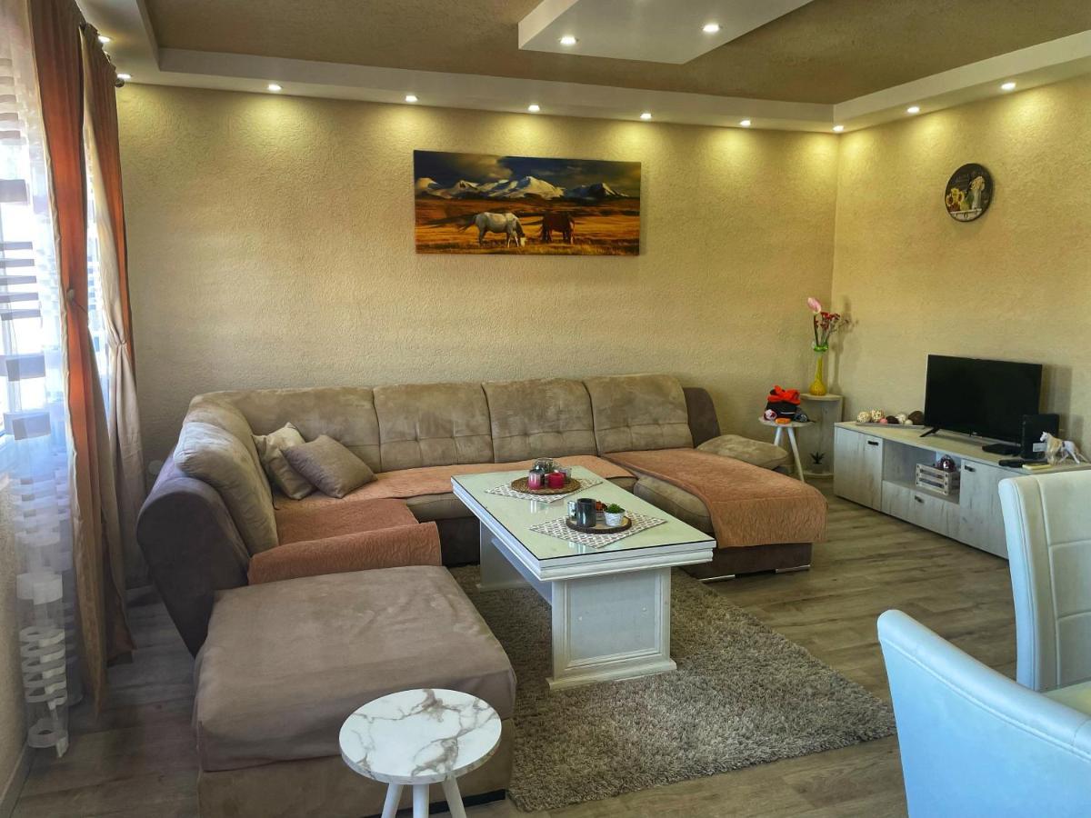 Apartment Alexandar Podgorica Zewnętrze zdjęcie